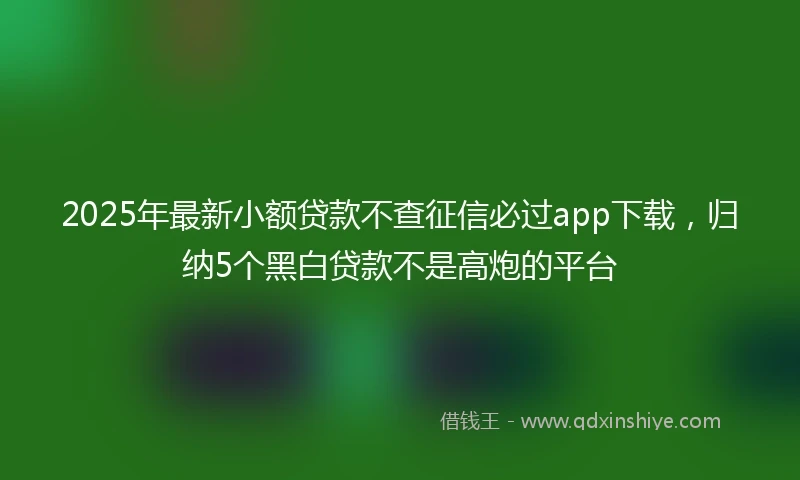 2025年最新小额贷款不查征信必过app下载，归纳5个黑白贷款不是高炮的平台