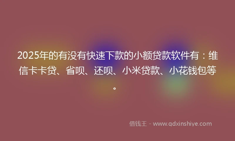 2025年的有没有快速下款的小额贷款软件有：维信卡卡贷、省呗、还呗、小米贷款、小花钱包等。