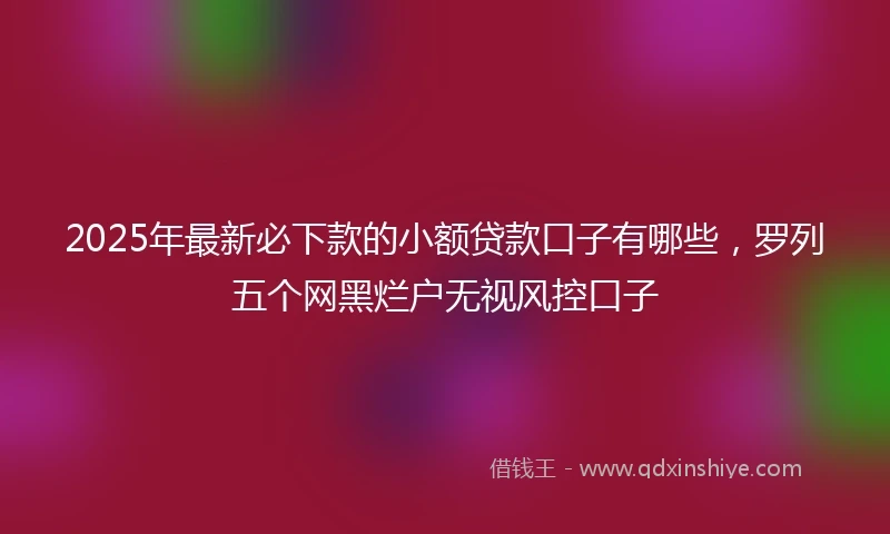 2025年最新必下款的小额贷款口子有哪些，罗列五个网黑烂户无视风控口子