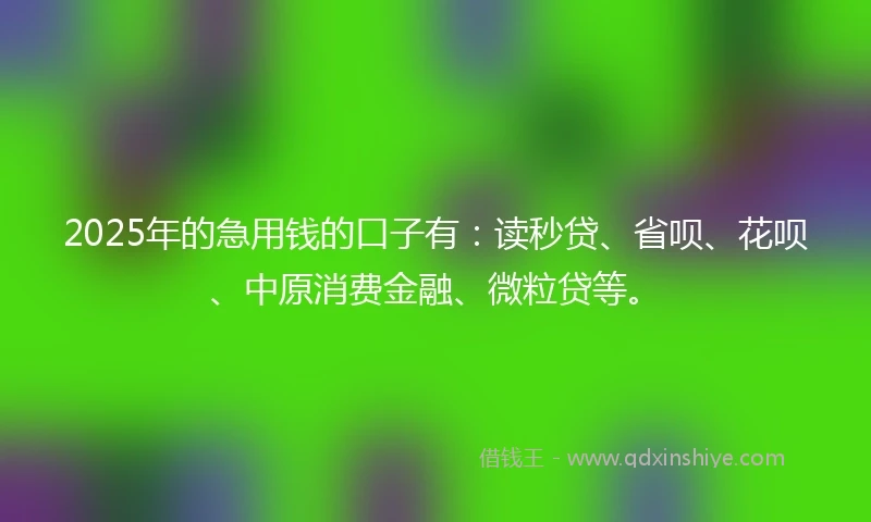 2025年的急用钱的口子有：读秒贷、省呗、花呗、中原消费金融、微粒贷等。