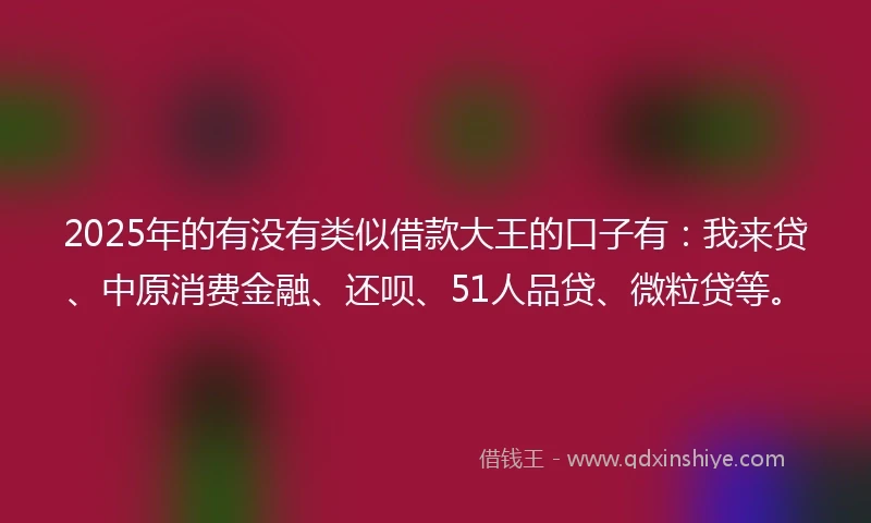 2025年的有没有类似借款大王的口子有：我来贷、中原消费金融、还呗、51人品贷、微粒贷等。