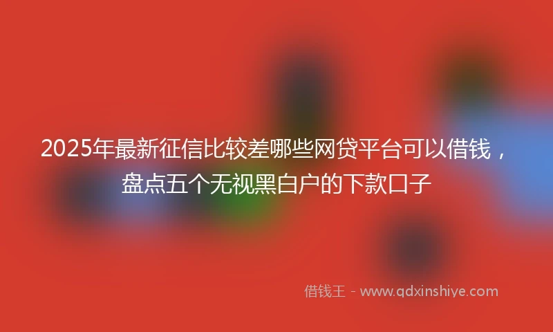 2025年最新征信比较差哪些网贷平台可以借钱，盘点五个无视黑白户的下款口子