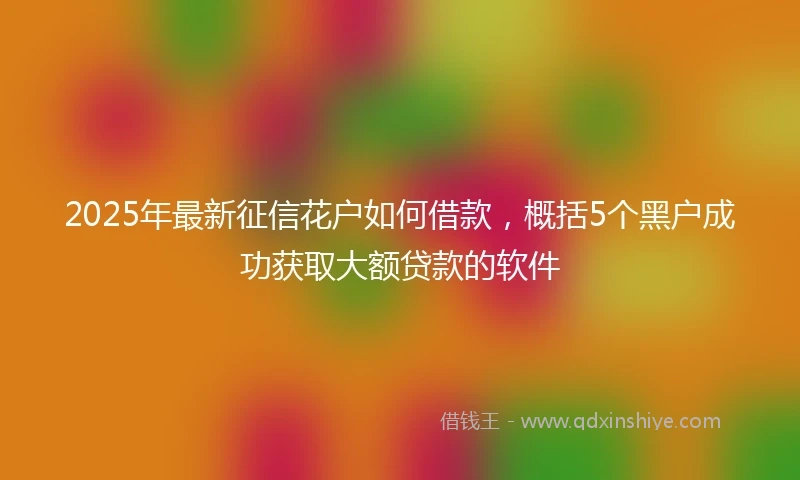 2025年最新征信花户如何借款，概括5个黑户成功获取大额贷款的软件