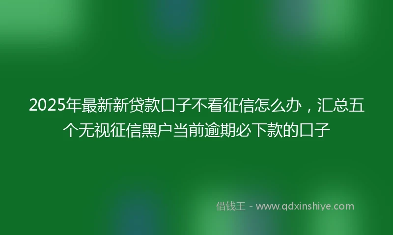 2025年最新新贷款口子不看征信怎么办，汇总五个无视征信黑户当前逾期必下款的口子