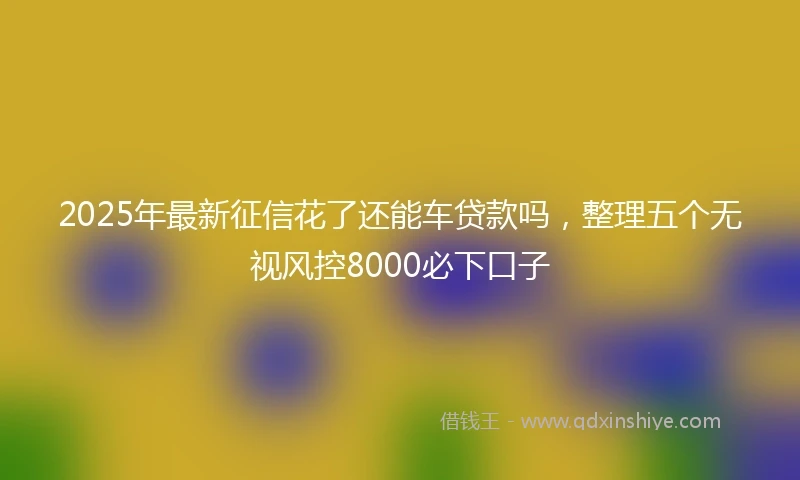 2025年最新征信花了还能车贷款吗，整理五个无视风控8000必下口子