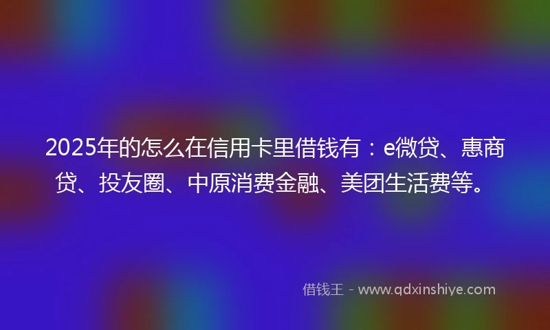 2025年的怎么在信用卡里借钱有：e微贷、惠商贷、投友圈、中原消费金融、美团生活费等。
