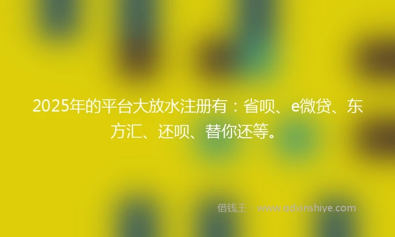 2025年的平台大放水注册有：省呗、e微贷、东方汇、还呗、替你还等。