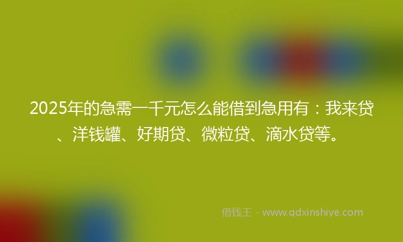 2025年的急需一千元怎么能借到急用有：我来贷、洋钱罐、好期贷、微粒贷、滴水贷等。