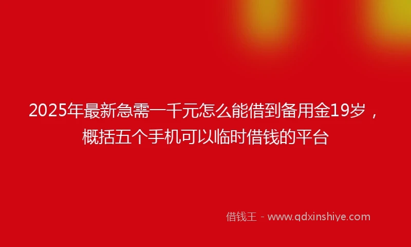 2025年最新急需一千元怎么能借到备用金19岁，概括五个手机可以临时借钱的平台