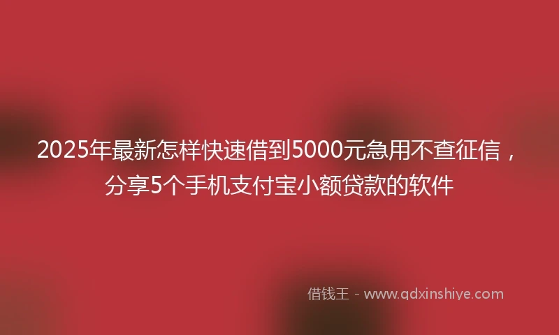 2025年最新怎样快速借到5000元急用不查征信，分享5个手机支付宝小额贷款的软件