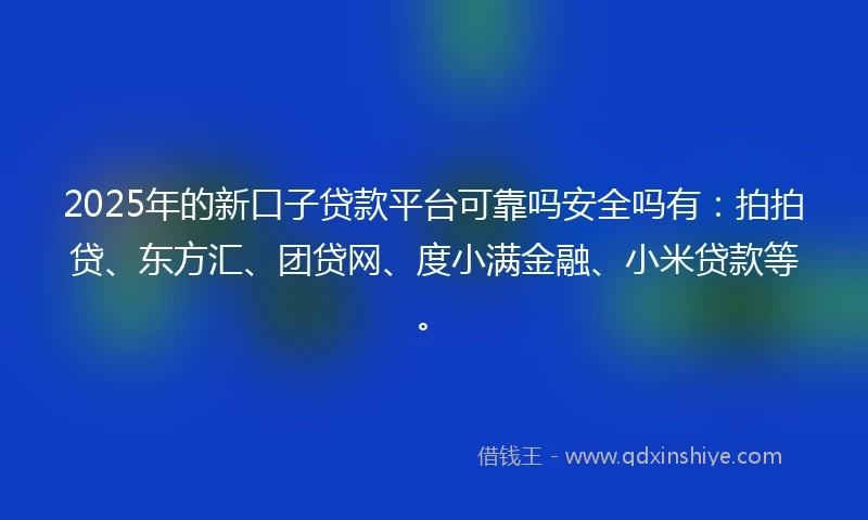 2025年的新口子贷款平台可靠吗安全吗有：拍拍贷、东方汇、团贷网、度小满金融、小米贷款等。