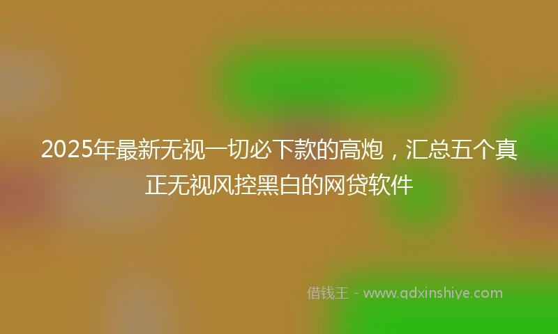 2025年最新无视一切必下款的高炮，汇总五个真正无视风控黑白的网贷软件