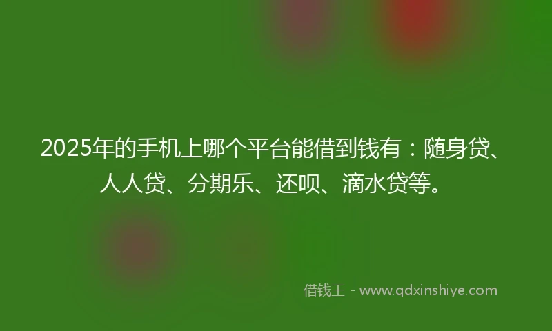 2025年的手机上哪个平台能借到钱有：随身贷、人人贷、分期乐、还呗、滴水贷等。