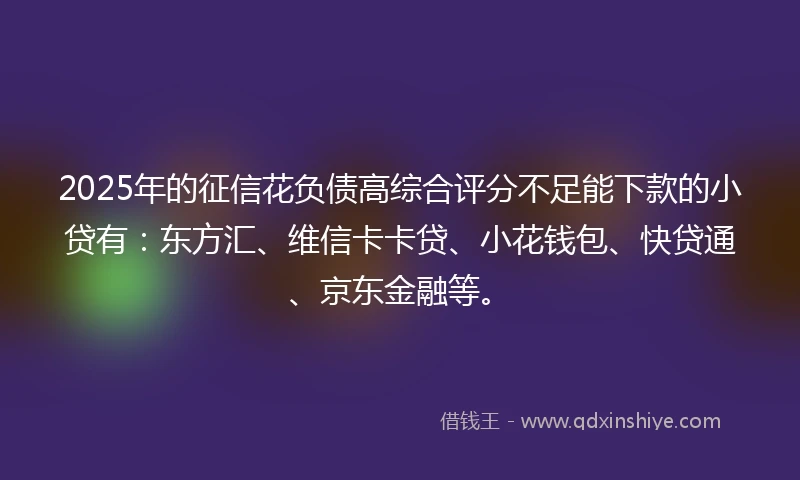 2025年的征信花负债高综合评分不足能下款的小贷有：东方汇、维信卡卡贷、小花钱包、快贷通、京东金融等。