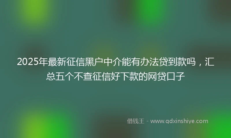 2025年最新征信黑户中介能有办法贷到款吗，汇总五个不查征信好下款的网贷口子