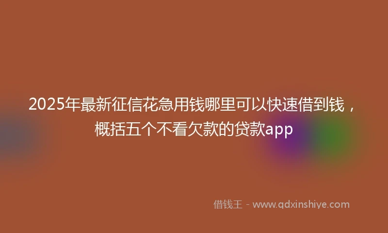 2025年最新征信花急用钱哪里可以快速借到钱，概括五个不看欠款的贷款app