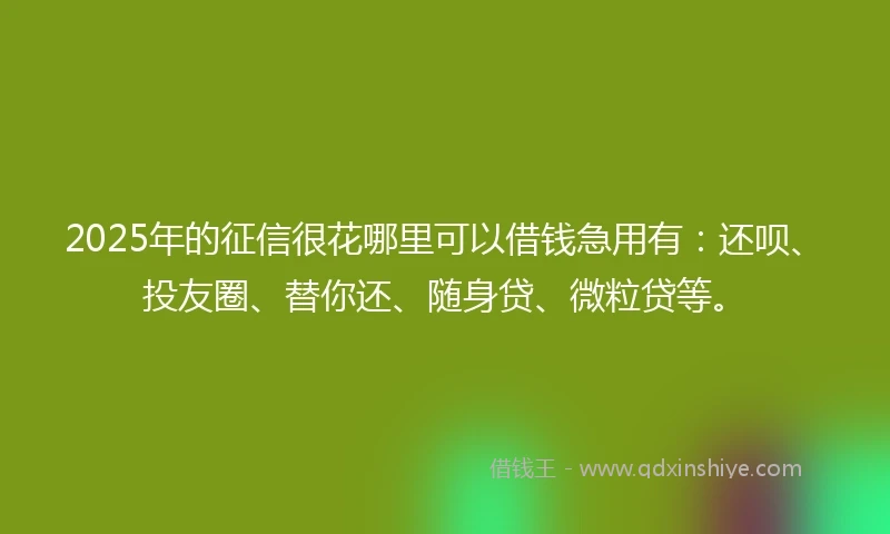 2025年的征信很花哪里可以借钱急用有：还呗、投友圈、替你还、随身贷、微粒贷等。