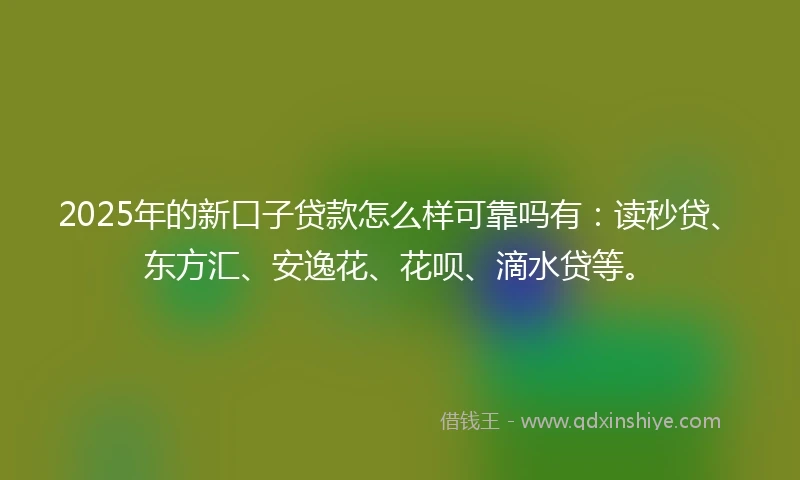 2025年的新口子贷款怎么样可靠吗有：读秒贷、东方汇、安逸花、花呗、滴水贷等。