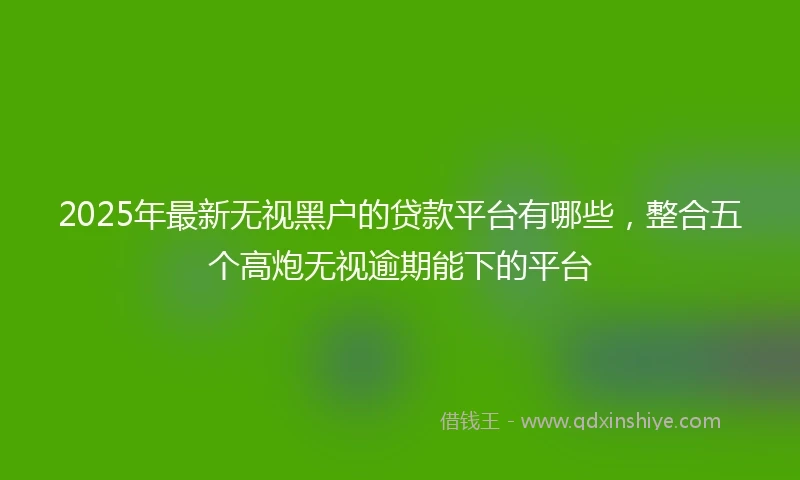 2025年最新无视黑户的贷款平台有哪些，整合五个高炮无视逾期能下的平台