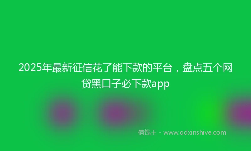 2025年最新征信花了能下款的平台，盘点五个网贷黑口子必下款app