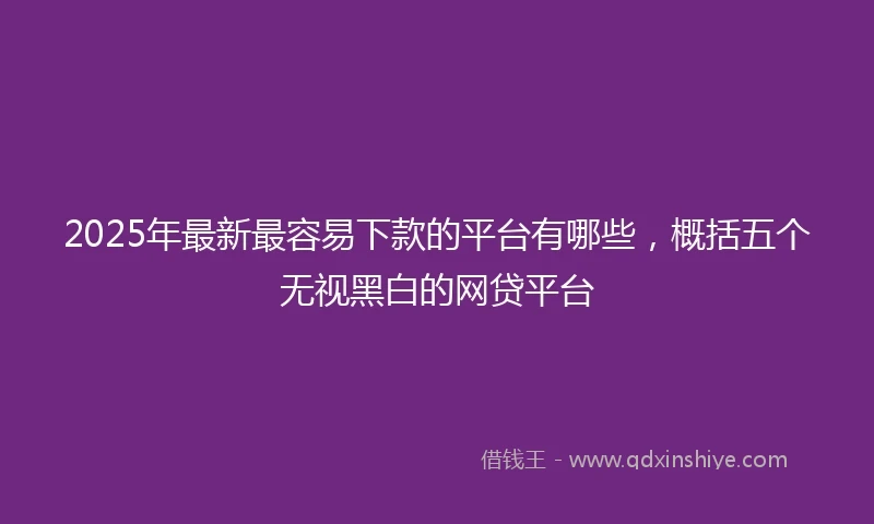 2025年最新最容易下款的平台有哪些，概括五个无视黑白的网贷平台
