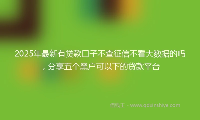 2025年最新有贷款口子不查征信不看大数据的吗，分享五个黑户可以下的贷款平台
