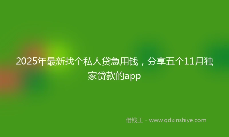 2025年最新找个私人贷急用钱，分享五个11月独家贷款的app