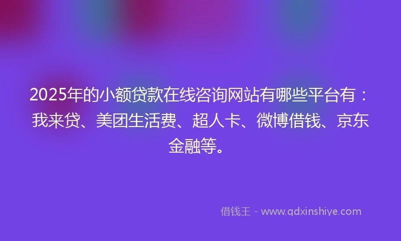 2025年的小额贷款在线咨询网站有哪些平台有：我来贷、美团生活费、超人卡、微博借钱、京东金融等。