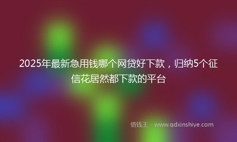 2025年最新急用钱哪个网贷好下款，归纳5个征信花居然都下款的平台