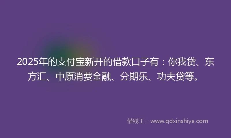 2025年的支付宝新开的借款口子有：你我贷、东方汇、中原消费金融、分期乐、功夫贷等。