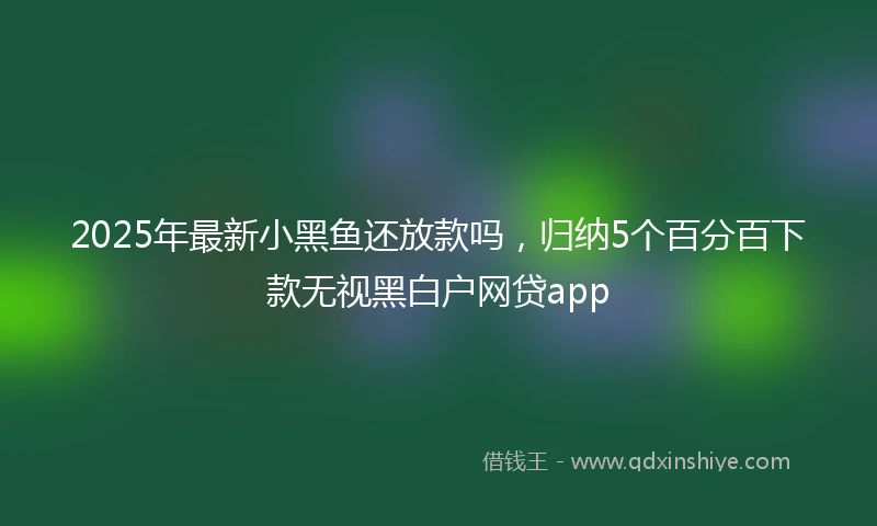 2025年最新小黑鱼还放款吗，归纳5个百分百下款无视黑白户网贷app