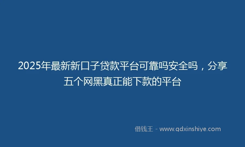 2025年最新新口子贷款平台可靠吗安全吗，分享五个网黑真正能下款的平台