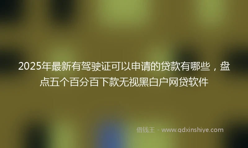 2025年最新有驾驶证可以申请的贷款有哪些，盘点五个百分百下款无视黑白户网贷软件