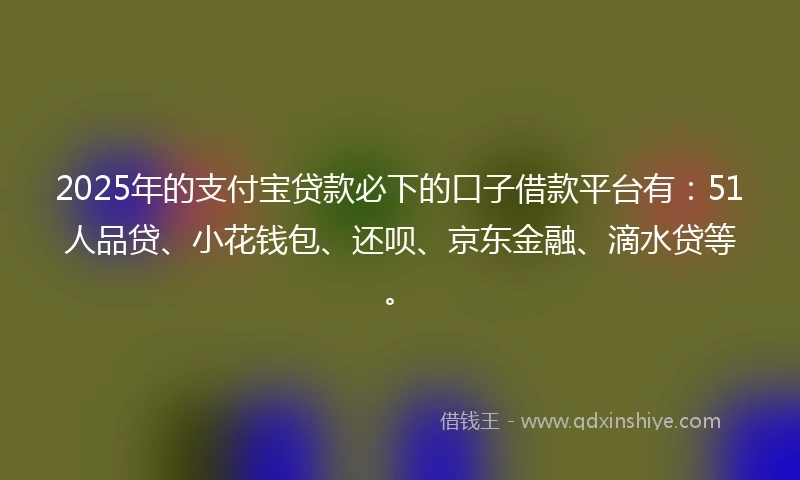 2025年的支付宝贷款必下的口子借款平台有：51人品贷、小花钱包、还呗、京东金融、滴水贷等。
