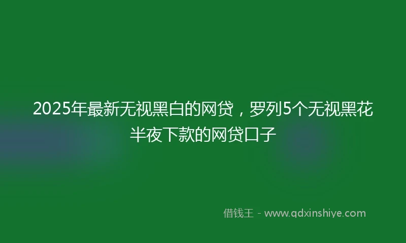 2025年最新无视黑白的网贷，罗列5个无视黑花半夜下款的网贷口子