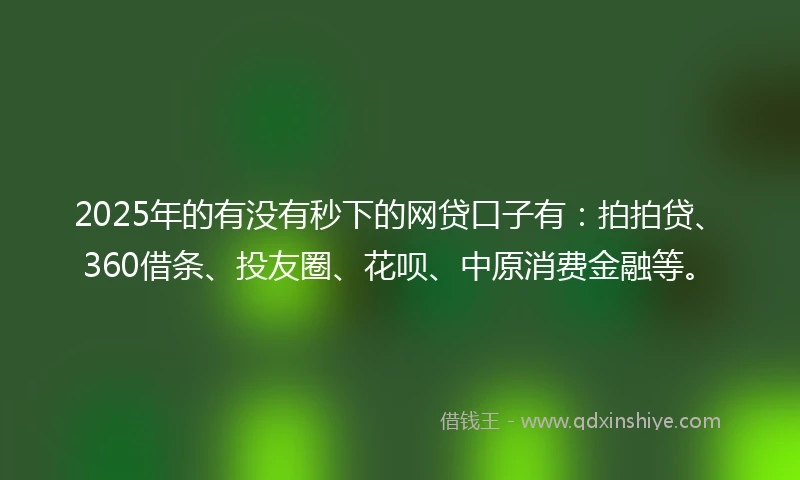 2025年的有没有秒下的网贷口子有：拍拍贷、360借条、投友圈、花呗、中原消费金融等。