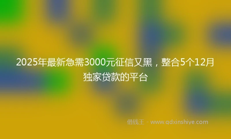2025年最新急需3000元征信又黑，整合5个12月独家贷款的平台