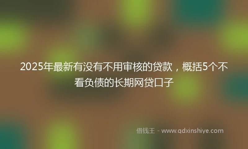 2025年最新有没有不用审核的贷款，概括5个不看负债的长期网贷口子