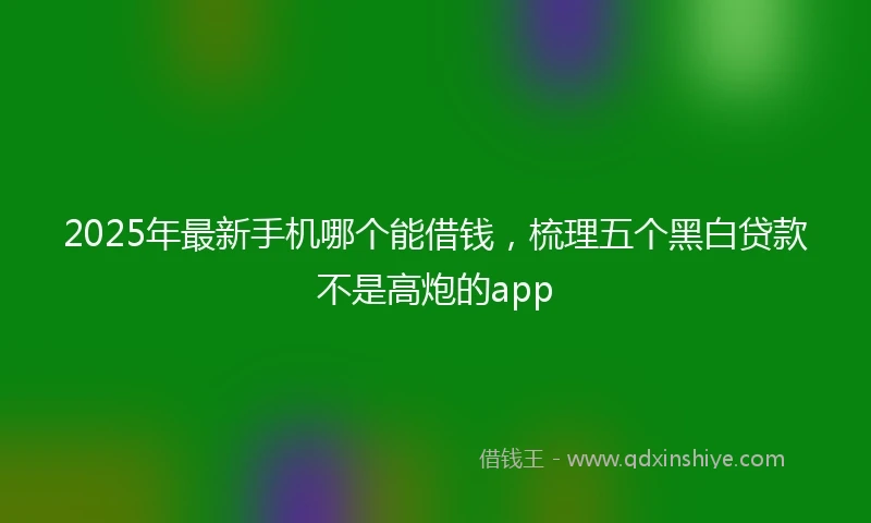 2025年最新手机哪个能借钱，梳理五个黑白贷款不是高炮的app