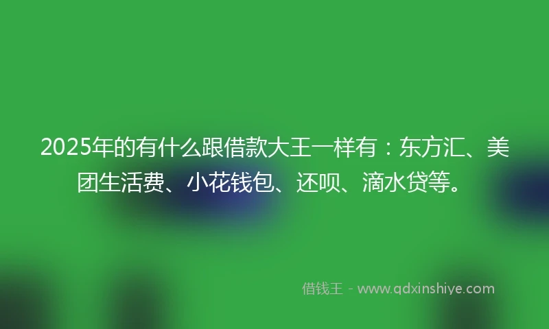 2025年的有什么跟借款大王一样有：东方汇、美团生活费、小花钱包、还呗、滴水贷等。