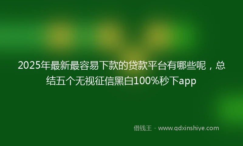 2025年最新最容易下款的贷款平台有哪些呢，总结五个无视征信黑白100%秒下app