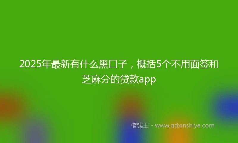 2025年最新有什么黑口子，概括5个不用面签和芝麻分的贷款app