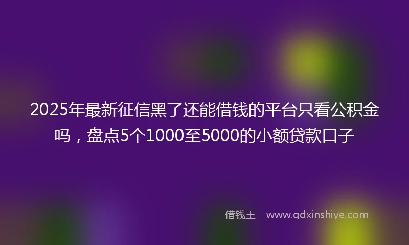 2025年最新征信黑了还能借钱的平台只看公积金吗，盘点5个1000至5000的小额贷款口子