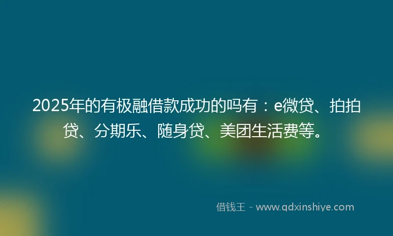 2025年的有极融借款成功的吗有：e微贷、拍拍贷、分期乐、随身贷、美团生活费等。