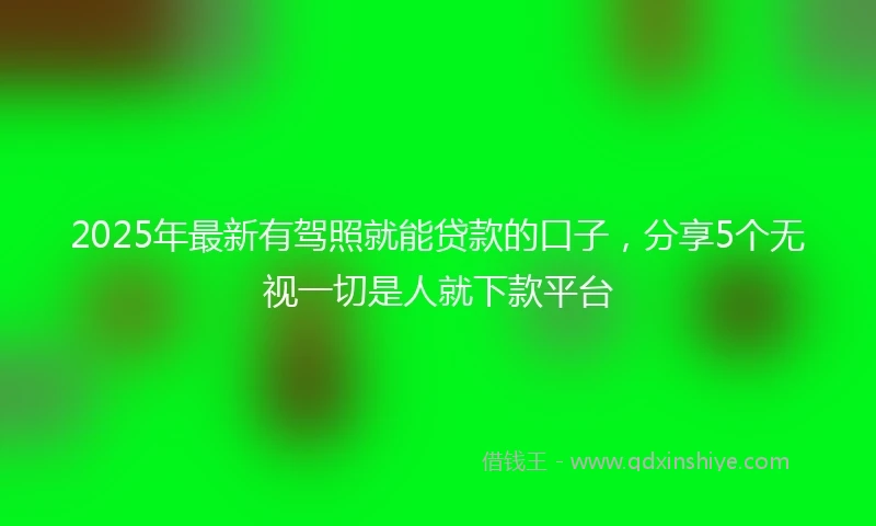 2025年最新有驾照就能贷款的口子，分享5个无视一切是人就下款平台