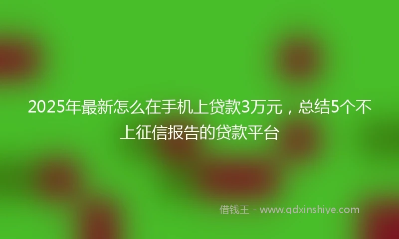 2025年最新怎么在手机上贷款3万元，总结5个不上征信报告的贷款平台