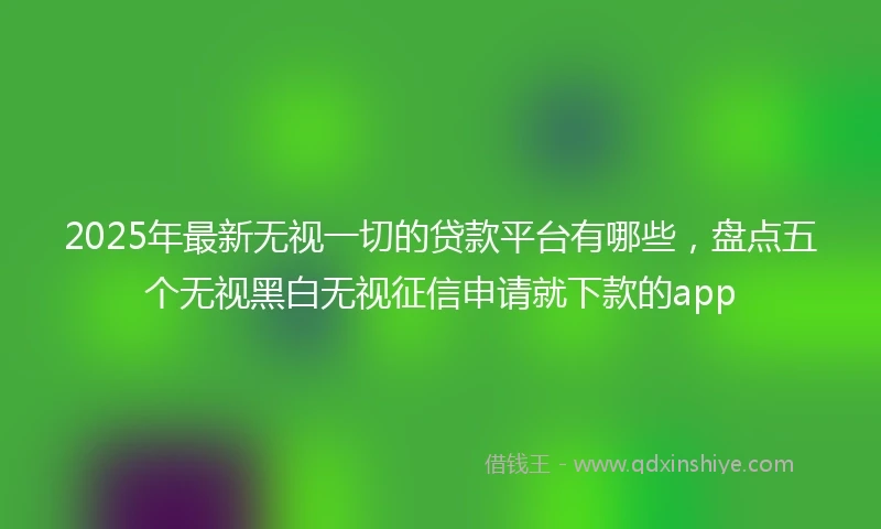 2025年最新无视一切的贷款平台有哪些，盘点五个无视黑白无视征信申请就下款的app