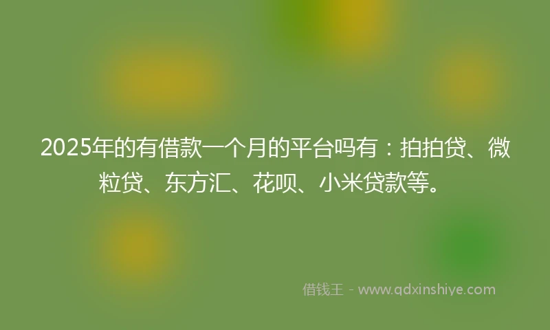 2025年的有借款一个月的平台吗有：拍拍贷、微粒贷、东方汇、花呗、小米贷款等。