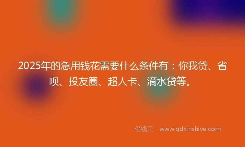2025年的急用钱花需要什么条件有：你我贷、省呗、投友圈、超人卡、滴水贷等。