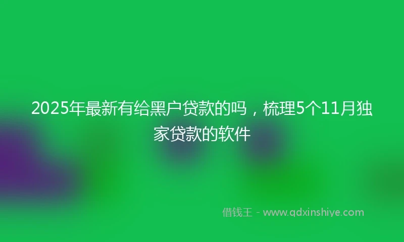 2025年最新有给黑户贷款的吗，梳理5个11月独家贷款的软件